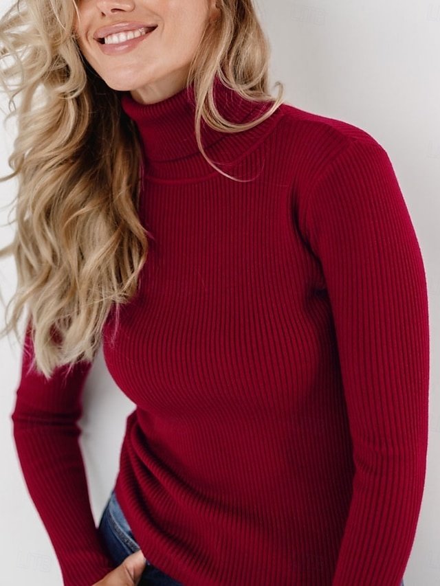 Casual Regular Fit Pure Colour Turtleneck Long Sleeve Regular Sweater - Image 1