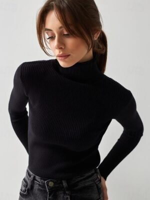 Casual Regular Fit Pure Colour Turtleneck Long Sleeve Regular Sweater - Image 11