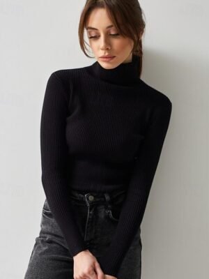 Casual Regular Fit Pure Colour Turtleneck Long Sleeve Regular Sweater - Image 13
