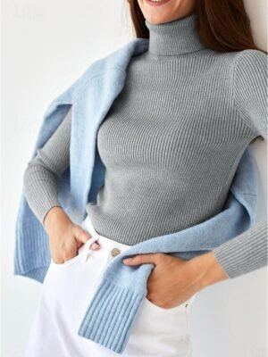 Casual Regular Fit Pure Colour Turtleneck Long Sleeve Regular Sweater - Image 19