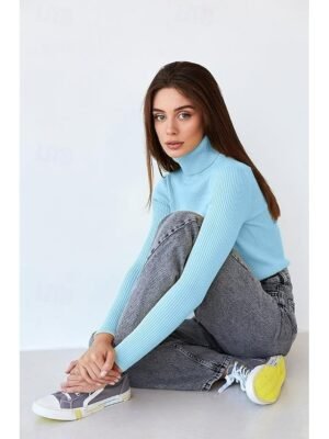 Casual Regular Fit Pure Colour Turtleneck Long Sleeve Regular Sweater - Image 25
