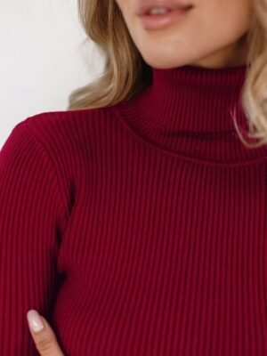 Casual Regular Fit Pure Colour Turtleneck Long Sleeve Regular Sweater - Image 3