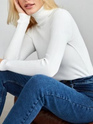 Casual Regular Fit Pure Colour Turtleneck Long Sleeve Regular Sweater - Image 6