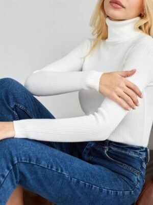 Casual Regular Fit Pure Colour Turtleneck Long Sleeve Regular Sweater - Image 7