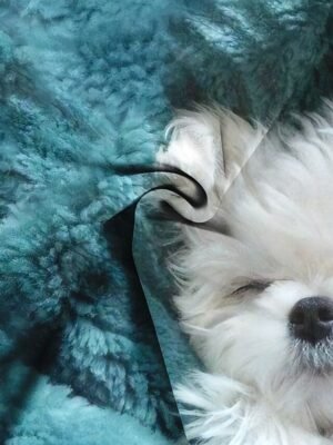 Street Plus Size Dog Print Round Neck Long Sleeve Sweatshirt - Image 3