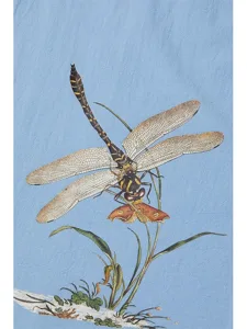 damen-shirt-100-baumwolle-shirt-bluse-kn-default-15