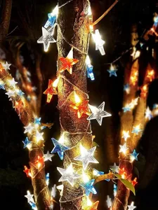 unabhangigkeitstag-patriotic-damen-t-shi-default-22