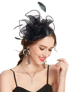 fascinators-haarschmuck-tull-teeparty-pf-default-13