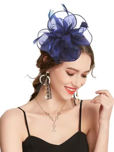 fascinators-haarschmuck-tull-teeparty-pf-default-15