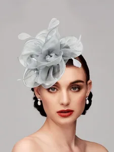 fascinators-netz-tee-party-pferderennen-silber-2