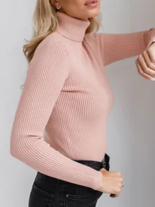 damen-rollkragenpullover-pullover-16231264-default-10